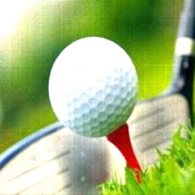 Eagle Sponsor - $ 500